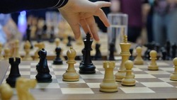 Соревнования по шахматам пройдут в Углегорске