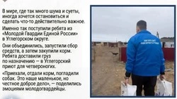 Помощь для друзей наших меньших