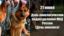День кинолога 2024 – красивые открытки и картинки