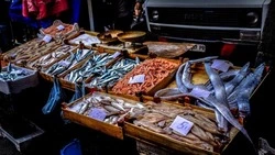 Продажа недорогой наваги прошла в Углегорском районе
