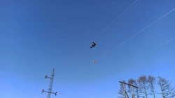 В Углегорском районе проходит масштабное обновление ЛЭП