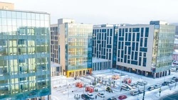 Созвездие передовых вузов