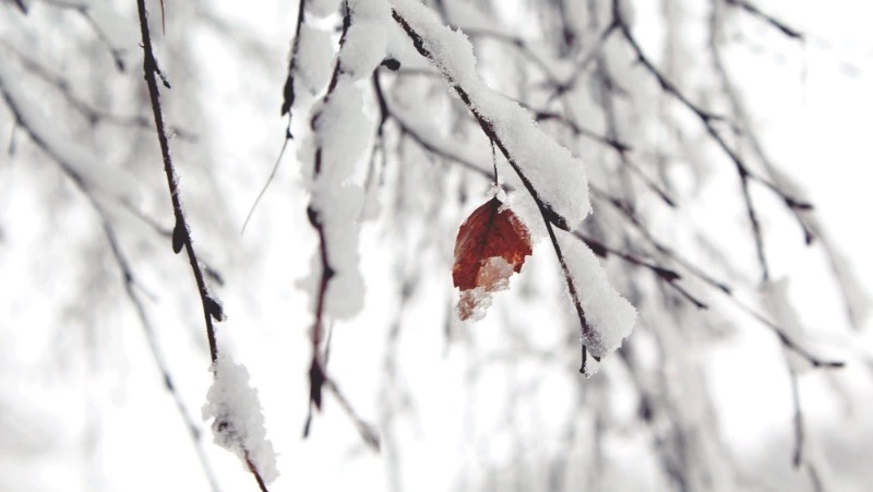 Церковный праздник 11 декабря 2023 года: что нельзя делать в этот день