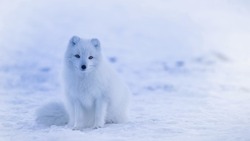 Народные приметы на 21 ноября 2023 года: что нельзя делать в Михайлов день