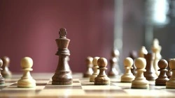 Соревнования по быстрым шахматам прошли в Углегорске