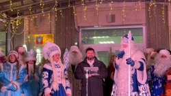 Новогодние каникулы прошли, чем запомнились они