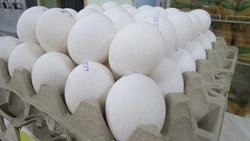 Продовольствие на контроле