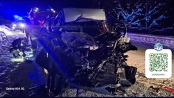 ДТП со смертельным исходом произошло в Углегорском районе
