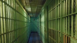 Житель Шахтерска пытал человека и заставил отрезать собственные уши
