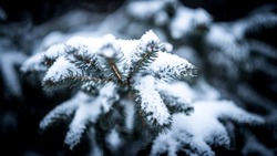 Снег, гололед, сильный ветер: прогноз погоды в Сахалинской области на 28 ноября