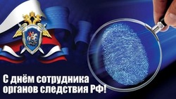 Красивые картинки с Днем сотрудника органов следствия России 2024 