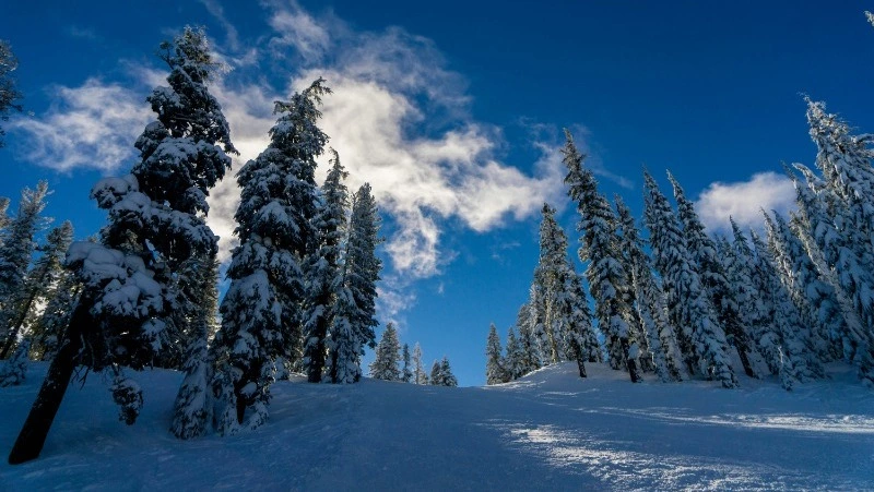 Народные приметы на 21 января 2024: что нельзя делать в этот день