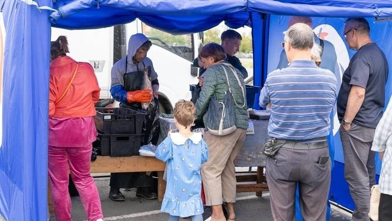 Более 1100 тонн свежевыловленной рыбы по сниженным ценам приобрели жители Сахалина и Курил