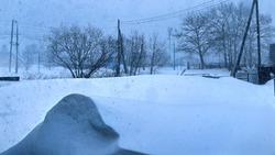 Снежная и ветреная погода сохранится на Сахалине 26 января