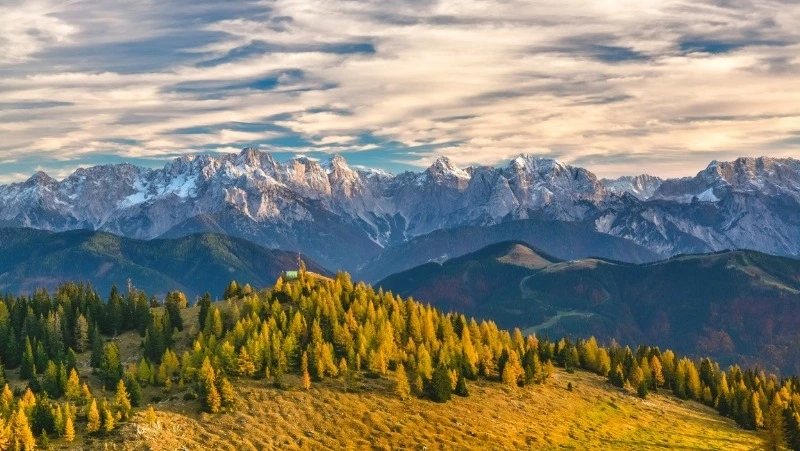 Народные приметы на 1 ноября 2023 года: что нельзя делать в Иванов день