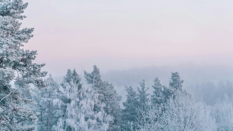 Народные приметы на 28 января 2024: что нельзя делать в этот день