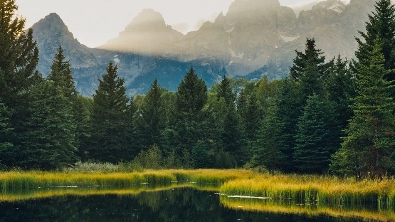 Народные приметы на 14 августа 2023 года: что нельзя делать в Медовый Спас