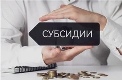 Субсидии