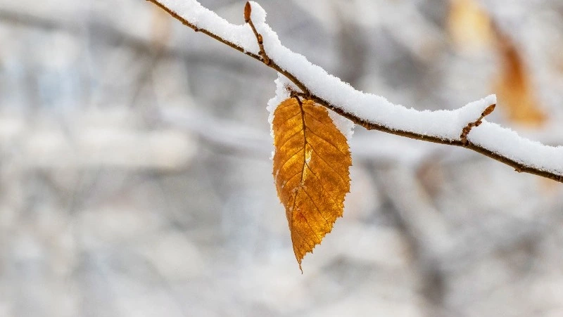 Церковный праздник 29 ноября 2023 года: что нельзя делать в этот день