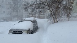 Прогноз погоды в Сахалинской области на 25 января: сильный снег и метель