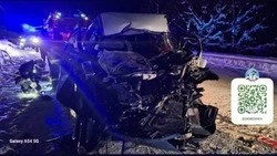 ДТП со смертельным исходом произошло в Углегорском районе