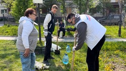 Преображение сквера в Углегорске