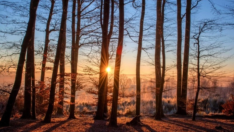 Народные приметы в Поднесеньев день: что нельзя делать 22 сентября