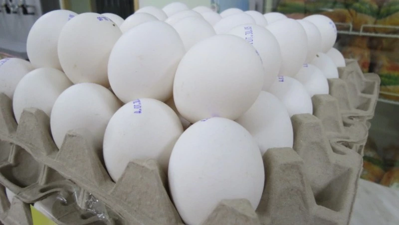 Продовольствие на контроле