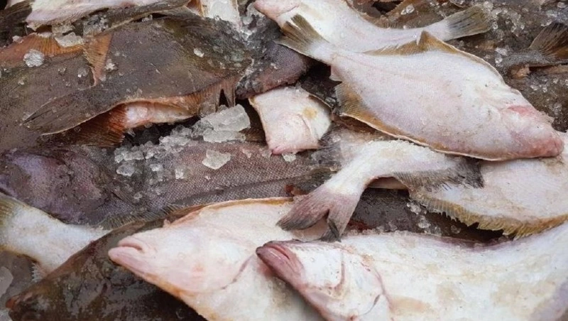 Доступная рыба