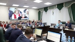 Бюджет Сахалинской области на три года: мнение мэра Федора Филина