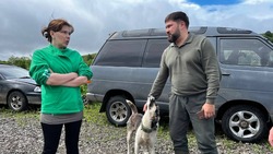 Режим ЧС: в Углегорском районе продолжается борьба с последствиями стихии
