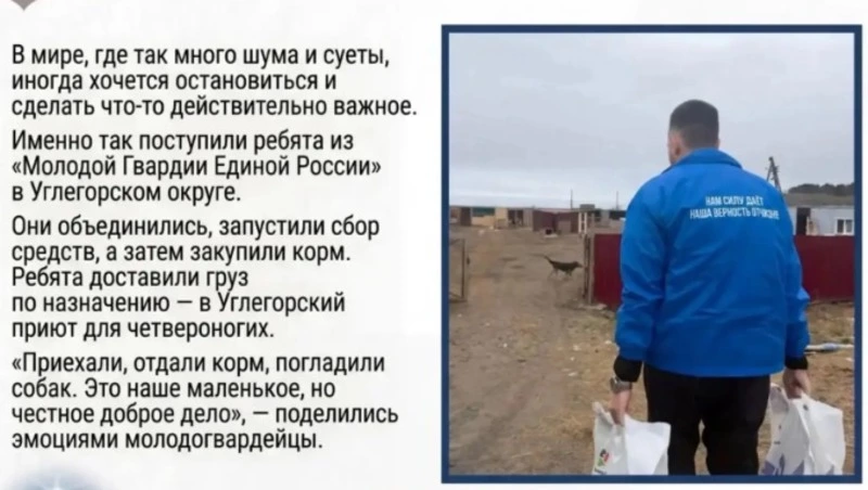 Помощь для друзей наших меньших