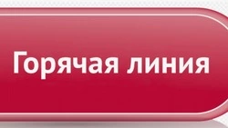 Для участников СВО организовали «горячую линию» Центра военно-социальной поддержки