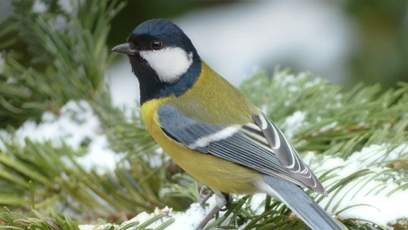 Народные приметы на 11 декабря 2023: что нельзя делать в этот день