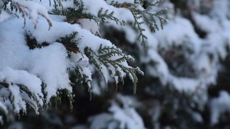 В плену гололеда