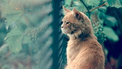 Народные приметы на 18 августа: что нельзя делать в день Евсигния Антиохийского