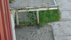 В Шахтерске отвалился один из столбов, который держит козырек подъезда в доме