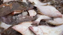 Доступная рыба