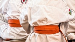 Спортсменки из Углегорска завоевали награды Всероссийского турнира по вольной борьбе