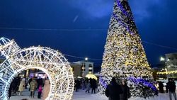 В Углегорске прошел парад Дедов Морозов и открылась новогодняя елка