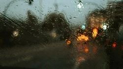 Погода на Сахалине и Курилах 10 июля: осадки и максимум +22 градуса