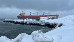 Угрозы экологии нет: ситуация с севшим на мель сухогрузом на Сахалине под контролем