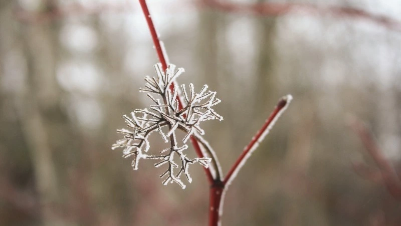Народные приметы на 1 февраля 2024: что нельзя делать в этот день