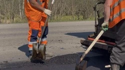 Региональную трассу в Углегорском районе отремонтируют к июню