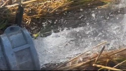 Источник чистой воды