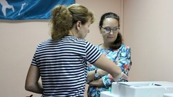 Более 200 наблюдателей проследят за прозрачностью выборов 10 сентября на Сахалине