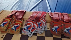 Турнир по дзюдо прошел в Углегорске