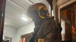 Пожарные потушили горящую электроопору в Углегорске