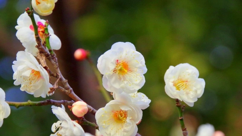 Народные приметы на 17 марта 2024: что нельзя делать в этот день