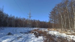 Новую ЛЭП «Шахтерская - Ударновская» ввели в эксплуатацию